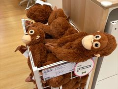 -宜家家居(四元桥商场店)