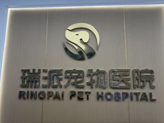 -瑞派康怡24h宠物医院·犬猫医疗中心·微创绝育(瑞景分院)