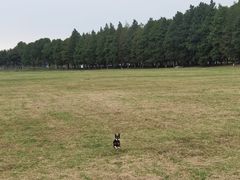 -阳澄湖半岛旅游度假区