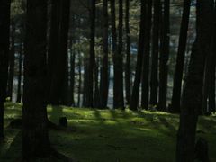 -石棉县孟获城