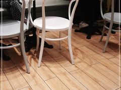 -罗森尼娜(德思勤店)