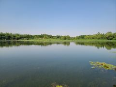 -溱湖国家湿地公园