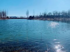 -大兴滨河森林公园