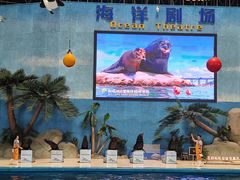 -泉城欧乐堡海洋极地世界