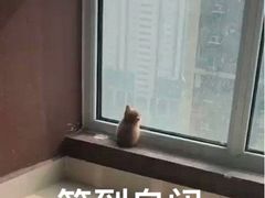 -大姨捞面(新安花园店)