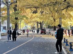 -四川大学(华西校区)