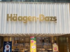 -哈根达斯(武汉天地店)