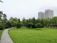 -滨河世纪广场公园