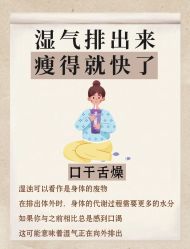 -Fundi张玉珊修身堂·indiba·BTL科技瘦身