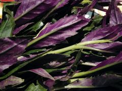 -滇釜火锅·能喝汤的火锅(车公庄店)