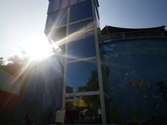 -凤岭儿童公园