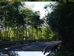 -四明山国家森林公园