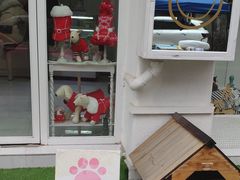 -BABYDOG宝贝狗宠物乐园(欧洲城店)
