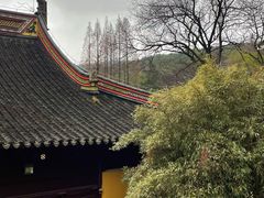 -兴福禅寺
