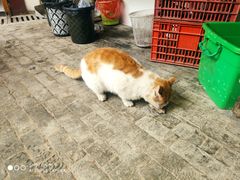 -秋香鱼馆(世凹桃园店)
