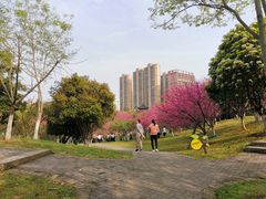 -堤角公园