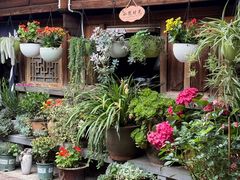 -龙姐私房菜(和顺古镇店)