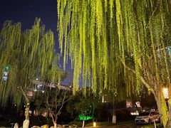 -西安国际创新人才交流中心•药浴温泉