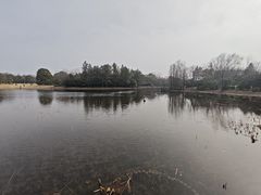 -长广溪湿地公园