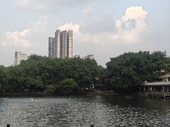 -荔湾湖公园