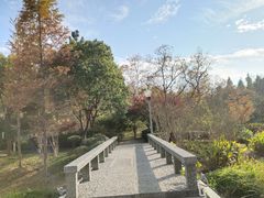 -尚贤河湿地