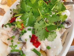 -凤厨顺德水乡凤味馆(大良锦龙路店)