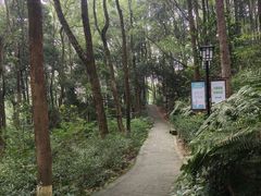 -忠山公园