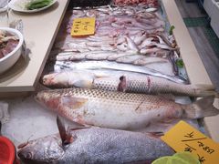 -北部湾海鲜饭店(大新路店)