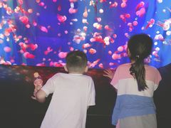 -成都浩海立方海洋公园