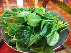 -羊大爷涮肉(亮马桥店)