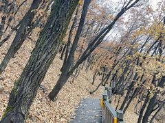 -帽儿山国家森林公园