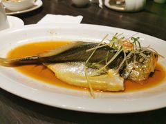 -鹊玥·粤菜小馆(汇智国际商业中心店)