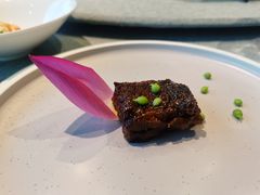 -诺莱仕游艇会