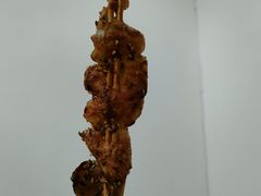 -粟氏天府·东北烧烤(江南兴隆街店)