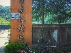 -广州市帽峰山景区