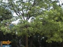 -热带风暴水上乐园(新镇路)