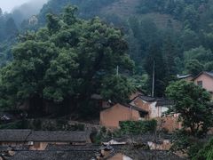 -杨家堂村