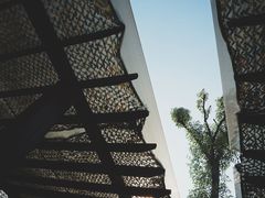 -桃园农庄·桃源宴