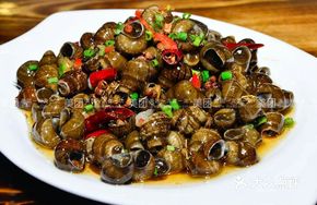 Stir-Fried Snail King