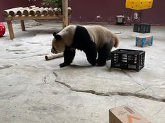 -杭州野生动物世界
