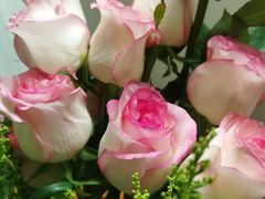 -双季花艺园艺市场(浦东店)