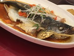 -白金汉爵大酒店·中餐厅(相城店)