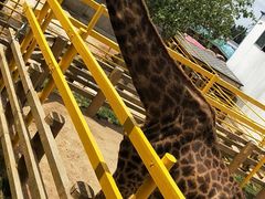 -西霞口神雕山野生动物世界