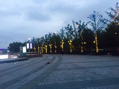 -紫荆广场·花漫里