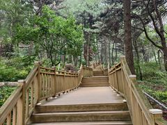 -鲁山国家森林公园