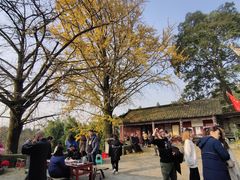 -佛荫寺