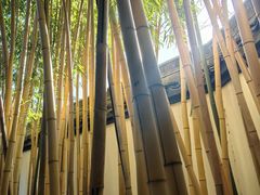 -杭州西湖风景名胜区-白苏二公祠