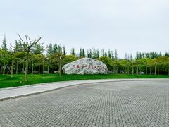 -上海海湾国家森林公园