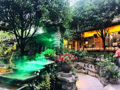 -青城甲(青城山店)