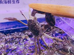 -澜悦港海鲜体验主题餐厅